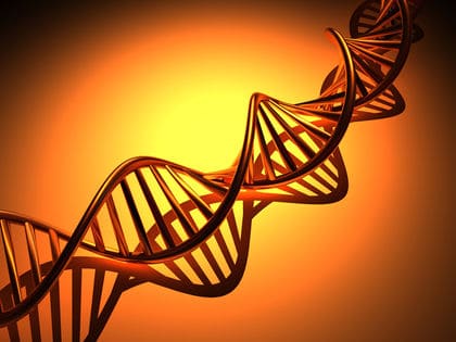All DNA sequencing is not equal